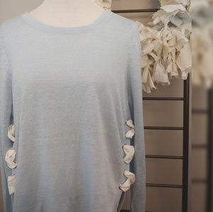 Lisa Todd Light Blue Explorer Sweater